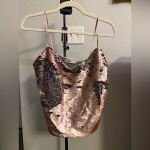 Zara Metallic Sequin Top